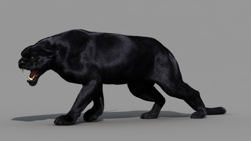 Black Panther Tiger 3D Model